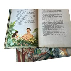 The Bible Story 1-5 8-10 Books Arthur S. Maxwell Hardcovers 1956 Children HC