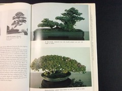 Introductory Bonsai and the care and use of bonsai tools Hardcover 1974 84 pages
