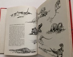VTG Rand McNally lot 3 Album of Sharks Astronomy Dinosaurs Tom McGowen Rod Ruth