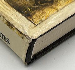 Vintage Noah’s Ark Rien Poortvliet HC Beige Illustrated 1986 Abrams Netherlands