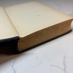1922 First English Edition – Jewish Children by Sholem Aleichem Knopf