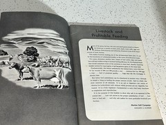 Vintage Free Choice Salt For More Profitable Livestock Feeding Booklet 39 Pages
