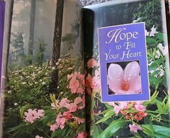 Hope for a Woman’s Soul