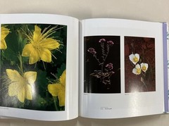 Wildflowers Across America HC Lady Bird Johnson and Carlton Lees 1988 Very Good