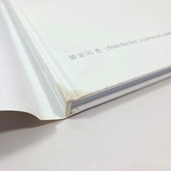 From the Fire Contemporary Korean Ceramics 2004 Illus Exhibition Catalogue HC DJ