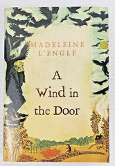 Madeleine L’Engle Book Set Wrinkle In Time, Swiftly Tilting Planet, Many Waters+