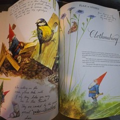 Gnomes By Wil Huygen & Rien Poortvliet 1979 Paperback Illustrated