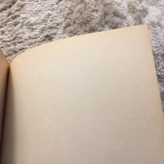 Passin’ Through Louis L’Amour 1985 Bantam Books Fugitive On The Run Western Book