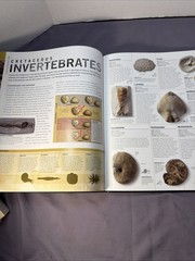 Dinosaurs & Prehistoric Life: The Definitive Visual Guide to Prehistoric Animals