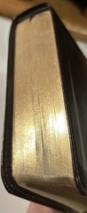 ESV Personal Reference Holy Bible Brown Tan Tru-Tone Single Column Side Ref.