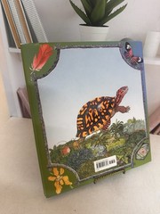Mossy by Jan Brett Hardcover Book 2012