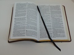 KJV Thinline Bible, Black/Brown Leather-Touch Cover, King James Version