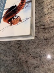 Campbell Biology Concepts & Connections, 9th edition by Taylor Hardcover