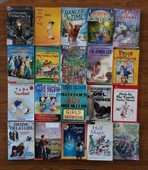 Lot of 20 Chapter Books for 4th Grade Boys & Girls Classroom RL4, AR