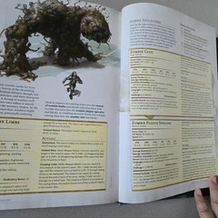 Van Richten’s Guide to Ravenloft by Dungeons & Dragons