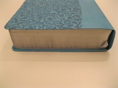 The Everyday Life Bible Teal LeatherLuxe Amplified Bible Joyce Meyer Faith Words