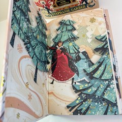 FAIRYLOOT Caraval Series by Stephanie Garber Iron Editions 4 Books – Sold Out