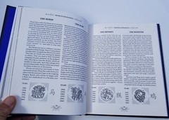 BRAND NEW 2023 BOOK DIVINATION A GUIDE TO PREDICTING FUTURE MICHAEL JOHNSTONE