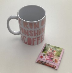 Blind Date With A Book Contemporary/Adult Fiction/Romance NY Times Best W/ Mug