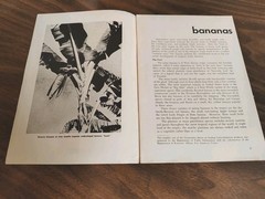 Bananas, Pan American Union Organization Of American States, 1964, 1966