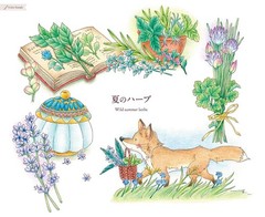 (ダウンロード特典付)こだわり塗り絵シリーズ 季節のリース Seasonal Wreaths of plants (Paperback) (UK IMPORT)