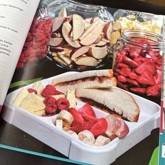 Discover Home Freeze Drying Hardcover –2022 by Harvest Right