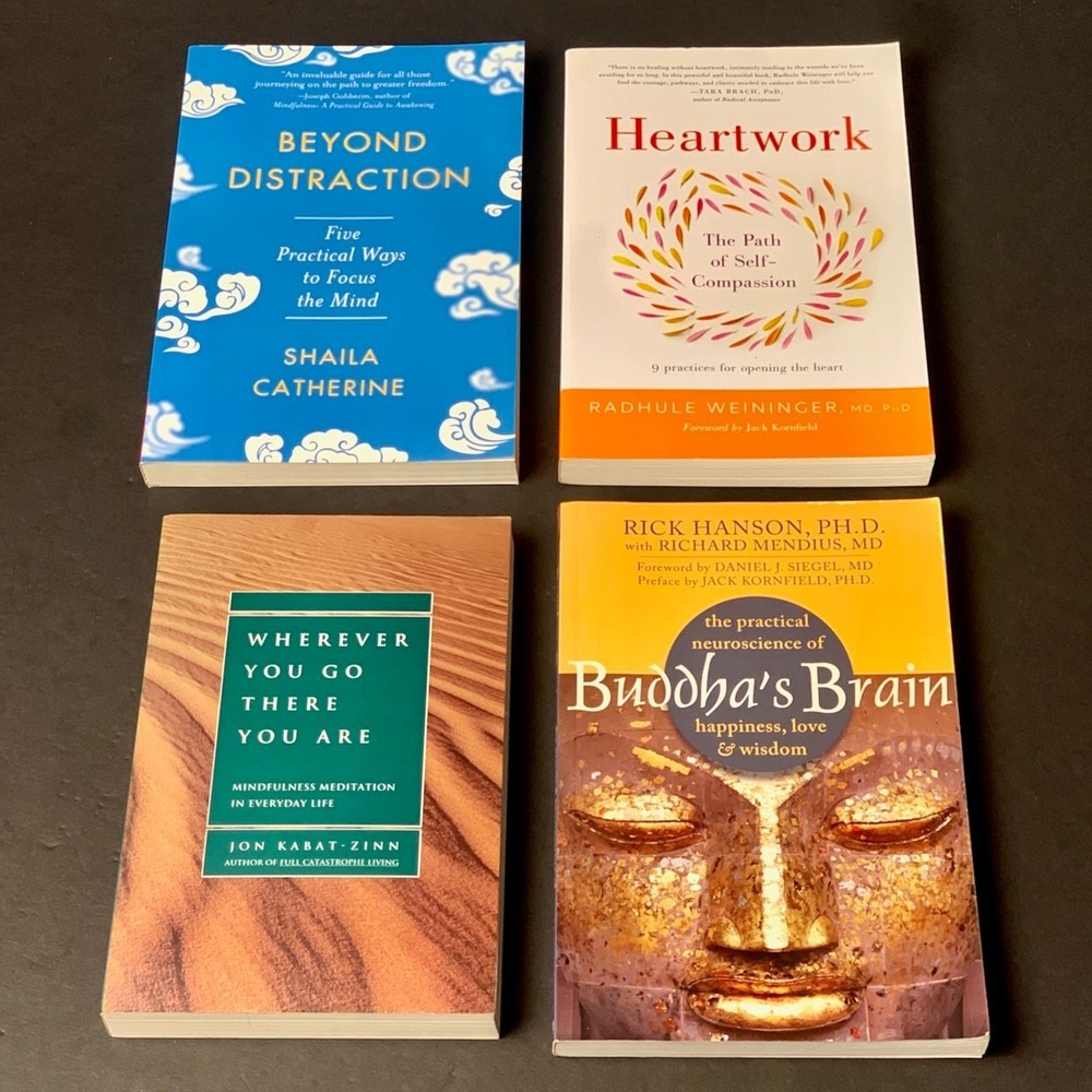 Mindfulness Meditation – Lot of 4 – Jon Kabat-Zinn, „Buddha’ Brain” – Softcover