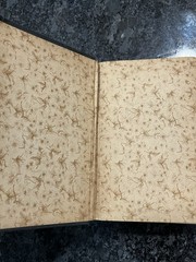 RARE 1891 BOOK OF MORMON 3RD ELECTROTYPE EDITION GEORGE Q CANNON & SONS HC LDS