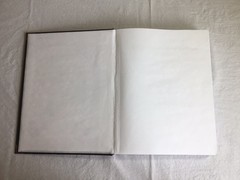 The Complete Apocrypha and Nag Hammadi Libraries, Hand Bound in Suede, Gnostic