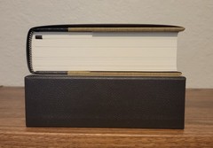 Buffalo Hunter Hunter by Stephen Graham Jones – SST Signed & Numbered w Slipcase