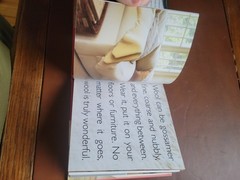 Essence of Wool by Hilary Mandleberg (2003, Hardcover)