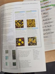 DK Eyewitness Garden Handbooks Perennials David Joyce Deni Bown HC Illus