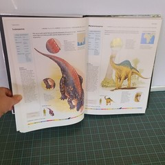 Dinosaurs & Other Prehistoric Animals Book 448 Pages Amber Books