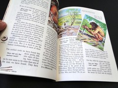 Vintage 1981 The How and Why Wonder Book of Primitive Man by Donald Barr