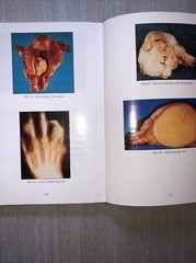 Pathology for Funeral Service