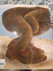 Donkey Egg by Susan Stevens Crummel and Janet Stevens (2019, Picture Book)