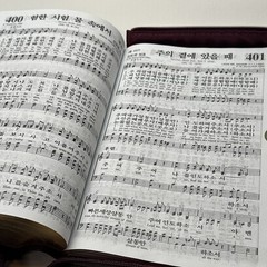 NIV Bible English/Korean Study Bible Brown Zipper-Red Letter Word of Life Press