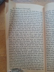 WilliamS.Burroughs, The Wild Boys: A Book Of The Dead, Paperback 1971 1st Signed