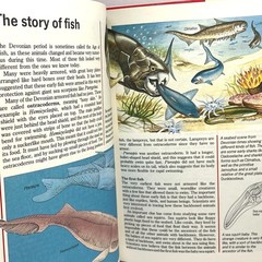 Prehistoric World Simon Schuster Illustrated Encyclopedia Michael Benton 1989