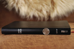 NIV, Thinline Bible, Large Print, Bonded Leather, Black, Red Letter, Comfort Pri