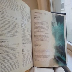 Dungeons and Dragons Player’s Handbook – ACCEPTABLE condition, read description