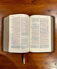 RARE: Charles Ryrie Study Bible NKJV, Premium American Bison Leather Binding