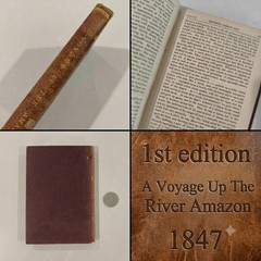 A Voyage Up The River Amazon 1847 First Edition William H Edwards Antique RARE