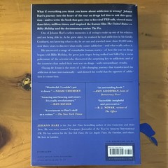 Johann Hari Chasing the Scream Trade Paperback Social Science Book English