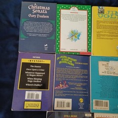 10 Pieces Various Titles Various Authors Young Adult Paperback Book Novel Lot
