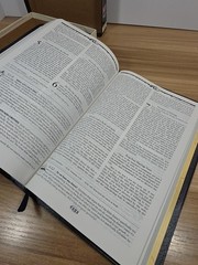 NELSON’S STUDENT BIBLE NEW KING JAMES VERSION By Larry Richards & Sue Richards
