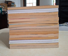 Goosebumps Books Lot of 17 R.L. Stine Mostly Vintage 1990s Paperbacks More Tales