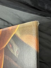 Harry Potter and the Deathly Hallows (2007) RARE 1st American Edition Hardcover