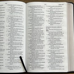 ESV Large Print Thinline Bible (Black Genuine Leather)