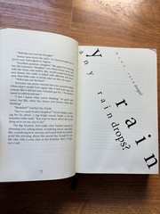 The Familiar, Volume 1: One Rainy Day in May/Mark Z. Danielewski/VERY GOOD FLEXI
